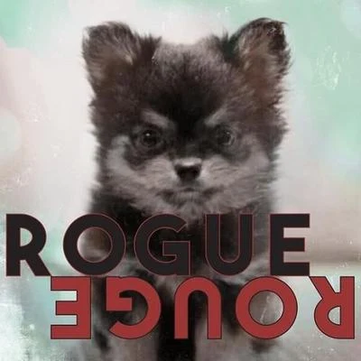 Rogue Rouge 專輯 Amber