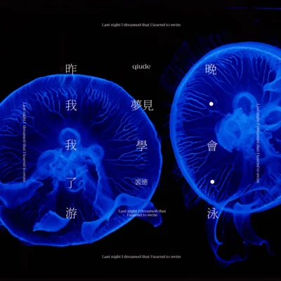 昨晚我夢見我學會了游泳 專輯 裘德/史曉天