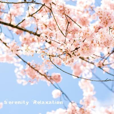 Serenity Relaxation 專輯 Relaxing Music Therapy/Relaxation/Masaje Tantrico Musica Colección