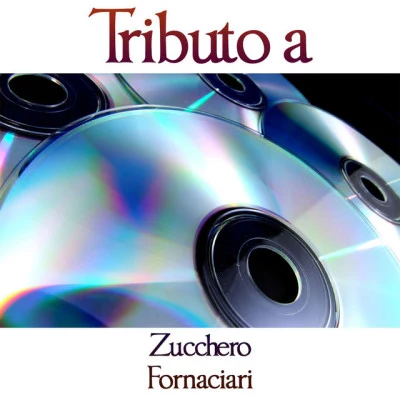 Tributo a Zucchero Fornaciari 专辑 High School Music Band