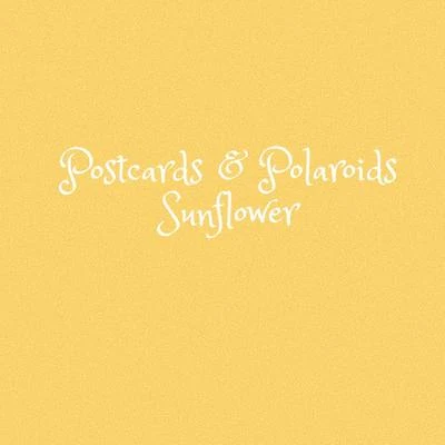 Sunflower 專輯 Sad Boy/Postcards & Polaroids