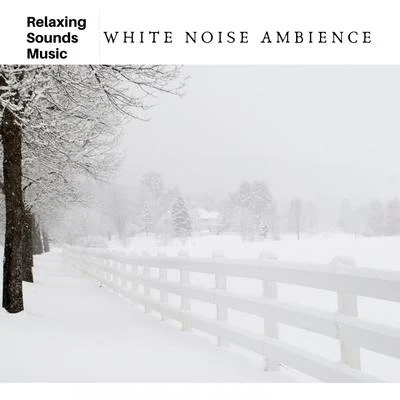 White Noise Ambience 專輯 White Noise Therapy/Brain Study Music Guys/Deep Rain Sampling