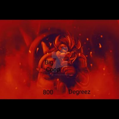 800 Degreez 专辑 Big Coop