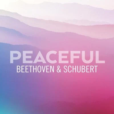 Peaceful Beethoven & Schubert 专辑 Renaud Fontanarosa