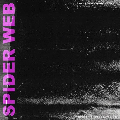 WICCA PHASE SPRINGS ETERNAL SPIDER WEB