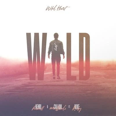 Wild Heart 專輯 Joe Cleere/Henri Purnell