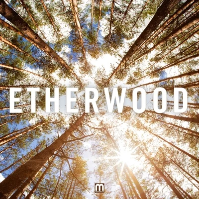 Etherwood 專輯 Etherwood