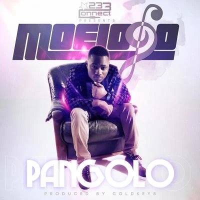 Pangolo 专辑 MoeLogo