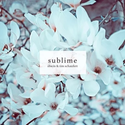 Sublime 專輯 Tim Schaufert