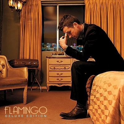 Brandon Flowers Flamingo