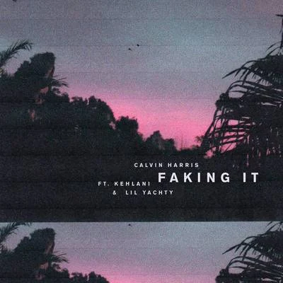 Faking It (Radio Edit) 專輯 Lil Yachty/James Blake