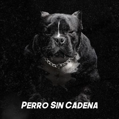 Perro Sin Cadena 专辑 B-RASTER/Sonik 420/REMIK GONZALEZ/Pinche Mara