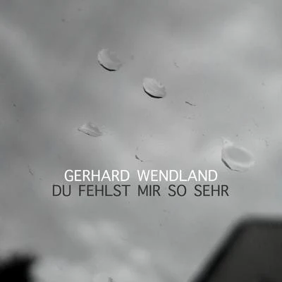 Du Fehlst Mir So Sehr 專輯 Gerhard Wendland