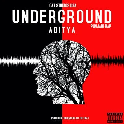 Underground Punjabi Rap 专辑 Aditya