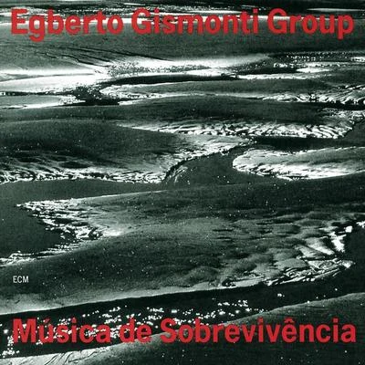 Música De Sobrevivência 專輯 Egberto Gismonti