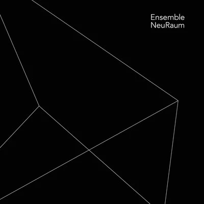 Lorenzo Troiani, Peter Jakober & Others: Chamber Works 专辑 Ensemble NeuRaum