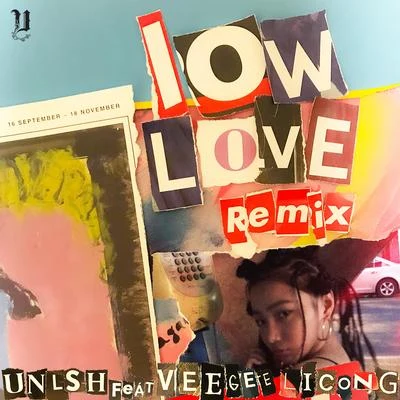 veegee徐若侨 Low Love Remix