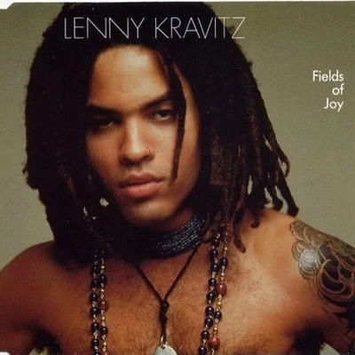 Fields Of Joy 專輯 Lenny Kravitz