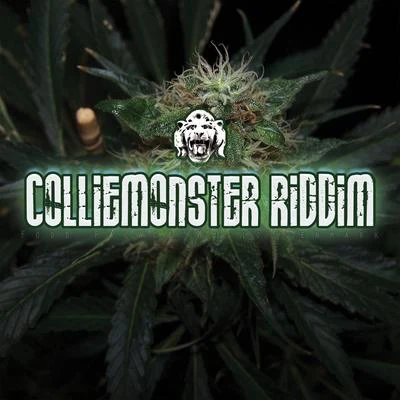 Colliemonster Riddim 专辑 Pharfar