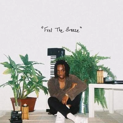 Feel The Breeze 专辑 Flwr Chyld/James Tillman