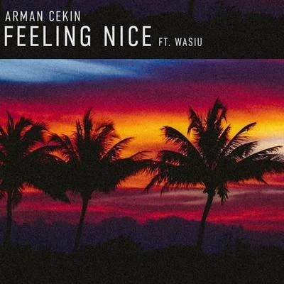 Feeling Nice 专辑 Arman Cekin