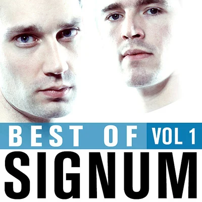 Best Of Signum, Vol. 1 专辑 Signum