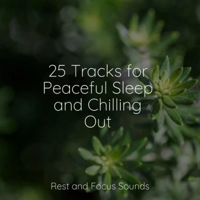 25 Tracks for Peaceful Sleep and Chilling Out 專輯 Deep Sleep Brown Noise/Meditation & Focus Workshop/Pro Sound Effects Library