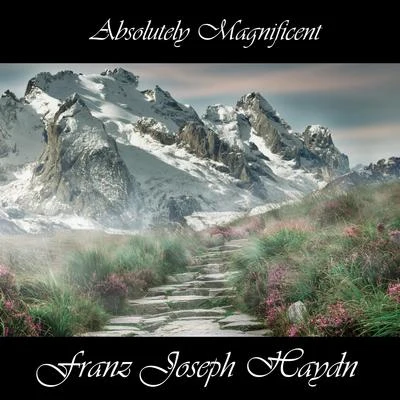 Absolutely Magnificent Franz Joseph Haydn 專輯 Franz Joseph Haydn