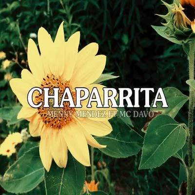 Chaparrita (feat. MC Davo) 专辑 Meny Mendez/Nando Galu