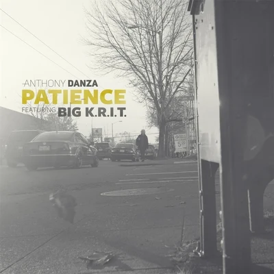 Patience (Remix) [feat. Big K.R.I.T.] 專輯 Big K.R.I.T./Hermitude/Mataya/Young Tapz