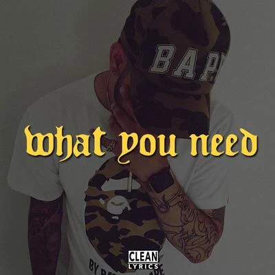 What You Need 專輯 IDKMir/OddKidOut/Yung 187