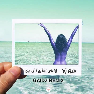 Good Feelin&#x27; 2k18 (Gaidz Remix) 专辑 DWP Academy/Mr Shawtyme/Yoofi Greene/DJ Flex