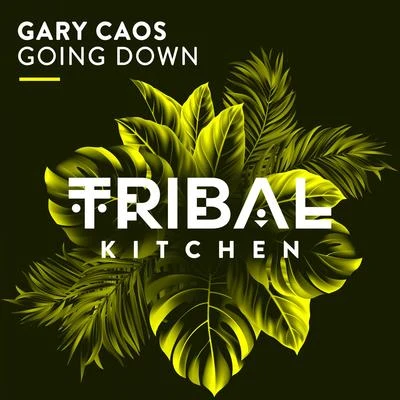 Going Down 專輯 Gary Caos