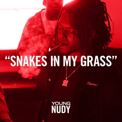 Snakes In My Grass 專輯 Young Nudy/J. Cole/Bas/EARTHGANG/Omën