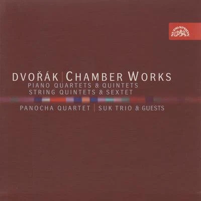 Dvořák: Chamber Works 專輯 Pavel Nejtek/Panocha Quartet