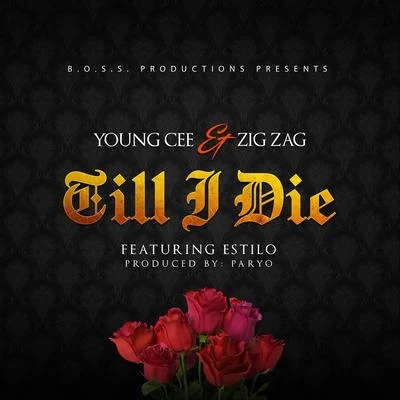 Till I Die 專輯 Zig Zag/Tonic Alize/Platinum