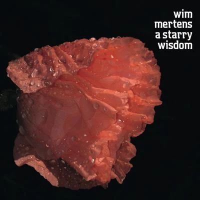 A Starry Wisdom 專輯 Wim Mertens