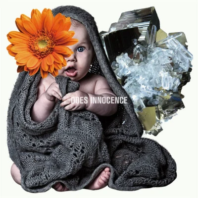 INNOCENCE 專輯 DOES