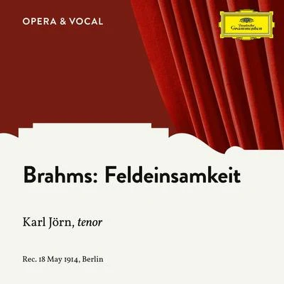 Brahms: Feldeinsamkeit, Op. 86, No. 2 专辑 Minnie Nast/Grammophone Orchestra Berlin & Chorus of the Court Opera in Berlin/Emmy Destinn/Karl Jorn/Hermann Bachmann