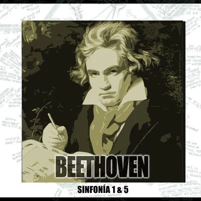 Sinfonia N1 En Do Mayor Y Sinfonia N5 En Do Menor 专辑 Beethoven/Franz Schubert/Bach/Liszt/Franz Liszt