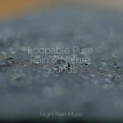 Loopable Pure Rain & Nature Sounds 專輯 Asian Zen Spa Music Meditation/Sample Rain Library/ASMR Rain Sounds