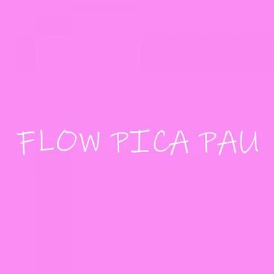 Flow PicaPau 專輯 Junin