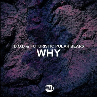 D.O.D Why (Extended Mix)