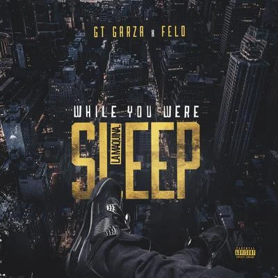 While You Were Sleep 專輯 GT Garza/Chedda Loc/Immortal Soldierz