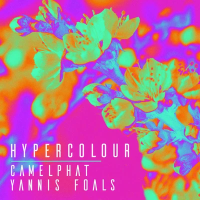 Hypercolour 專輯 Foals