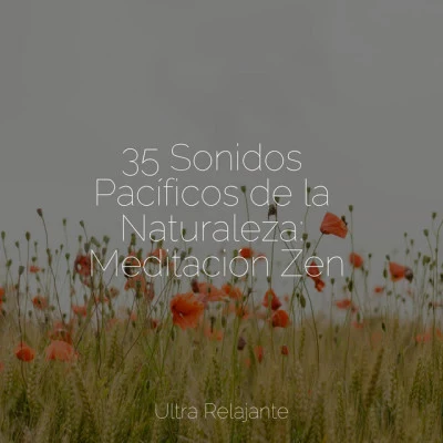 Entrenamiento Autògeno y Meditación Specialistas 35 Sonidos Pacíficos de la Naturaleza: Meditación Zen