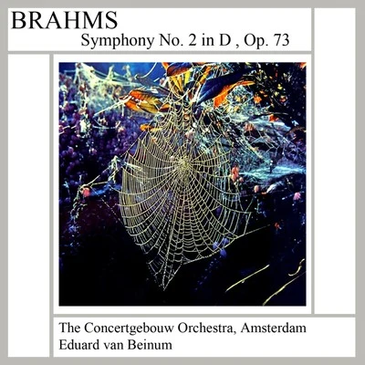 Brahms: Symphony No. 2 專輯 Paul van Kempen/The Concertgebouw Orchestra of Amsterdam