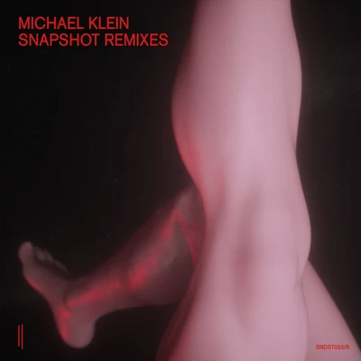 Snapshot - Remixes 專輯 Michael Klein