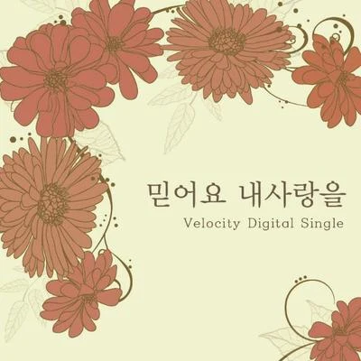 믿어요 내 사랑을 專輯 Velocity/Zilli/Sonic/Cycle/Soulful Nature