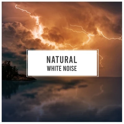 #Natural White Noise 專輯 Rainforest Ambience/Rain Sounds